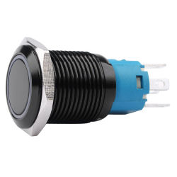 Кнопка антивандальная FT16Q-F11Z/E синяя подсветка 12V AC/DC